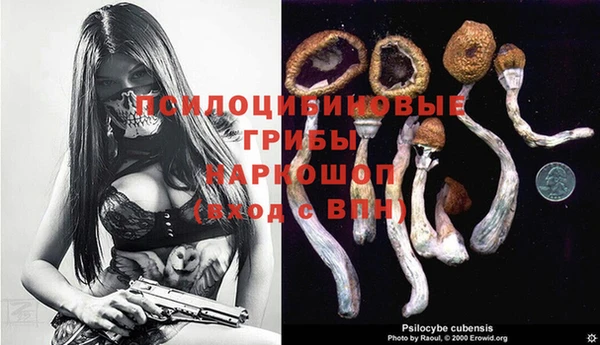 героин Карпинск